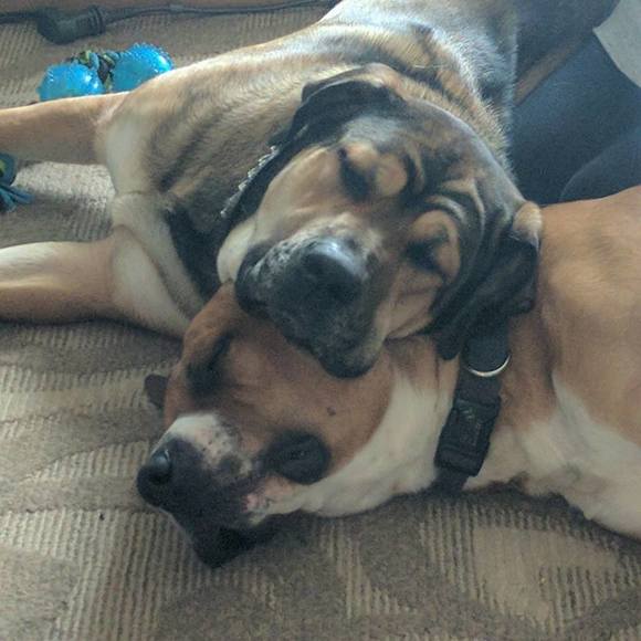 Meet your Posher, Naomi - Picture 1 of 1